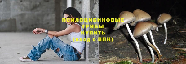 герыч Зеленокумск