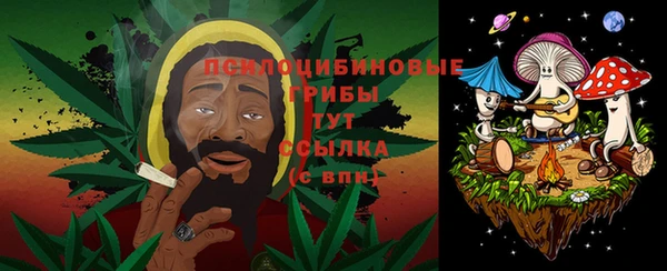 первитин Дубовка