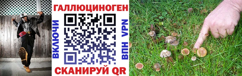 Галлюциногенные грибы Psilocybe  OMG ТОР  Игарка 